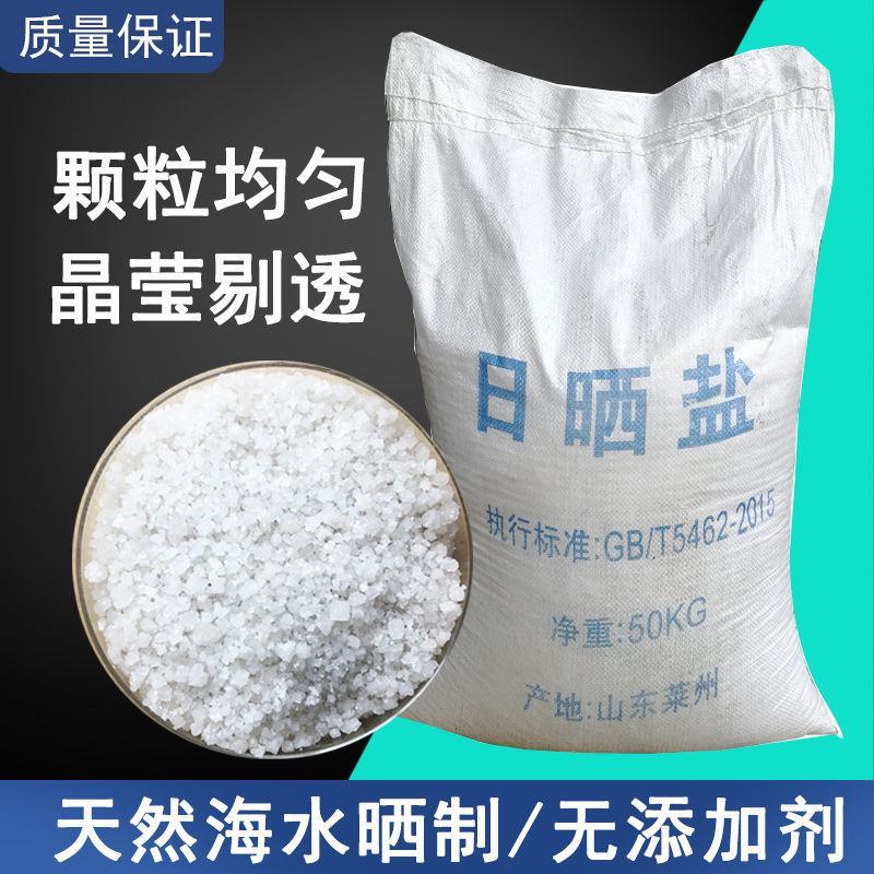 包邮50斤海盐粗盐日晒盐养殖畜牧工业盐氯化钠养鱼虾海水盐