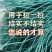 18股加粗养鸡网围鸡网防鸟网鸡围栏菜园网爬藤网顶网山鸡网