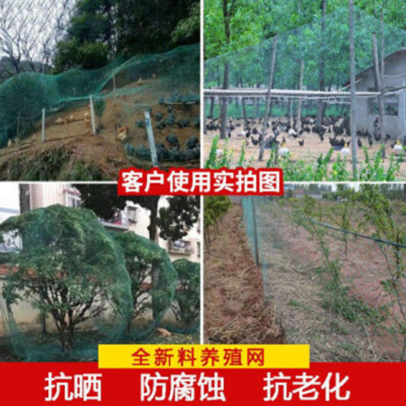 18股加粗养鸡网围鸡网防鸟网鸡围栏菜园网爬藤网顶网山鸡网