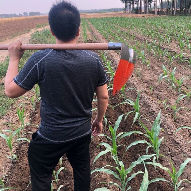 全钢大小尖镐三角锄头松土起垄开沟园艺工具长柄种菜挖笋农具