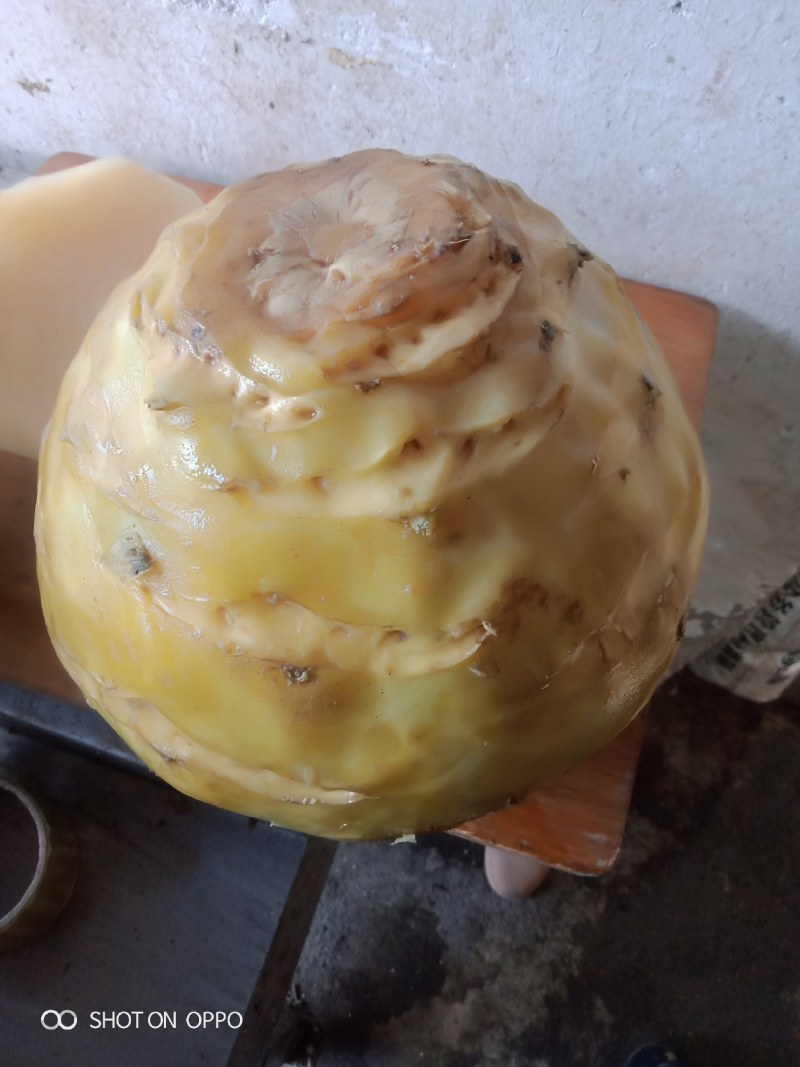 腌制苤蓝