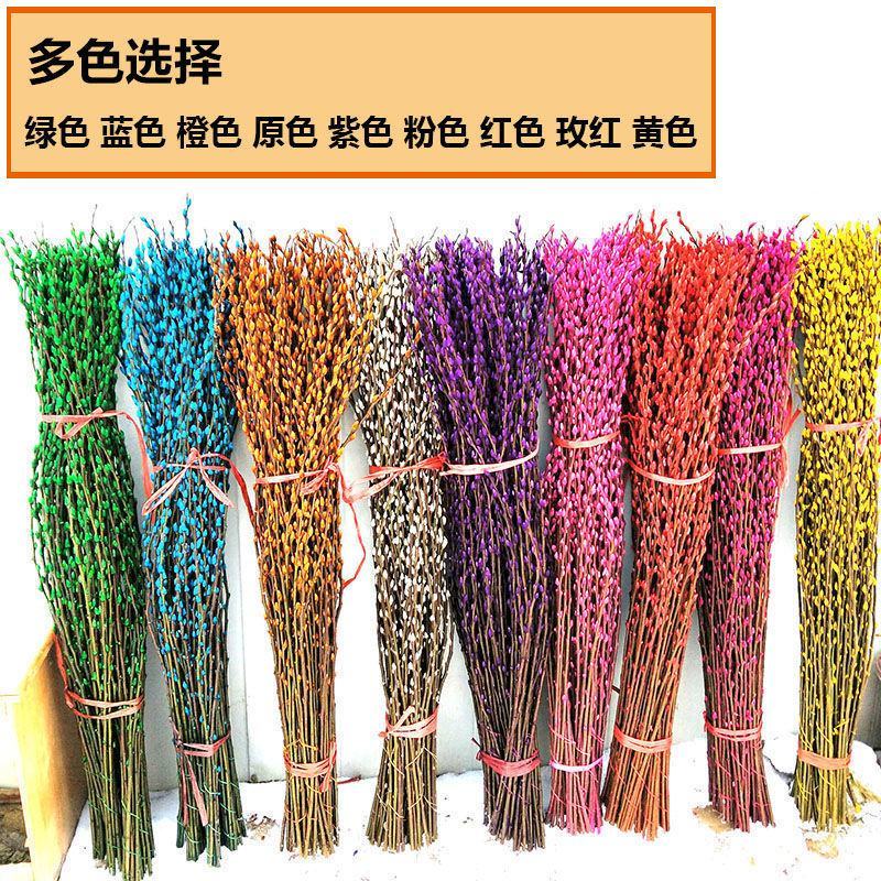 银柳真花鲜枝年宵花银柳干花易活植物柳枝耐寒水培花卉室内装