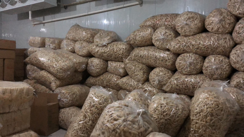 500克包装竹荪球/竹荪蕾/竹荪蛋，基地直发