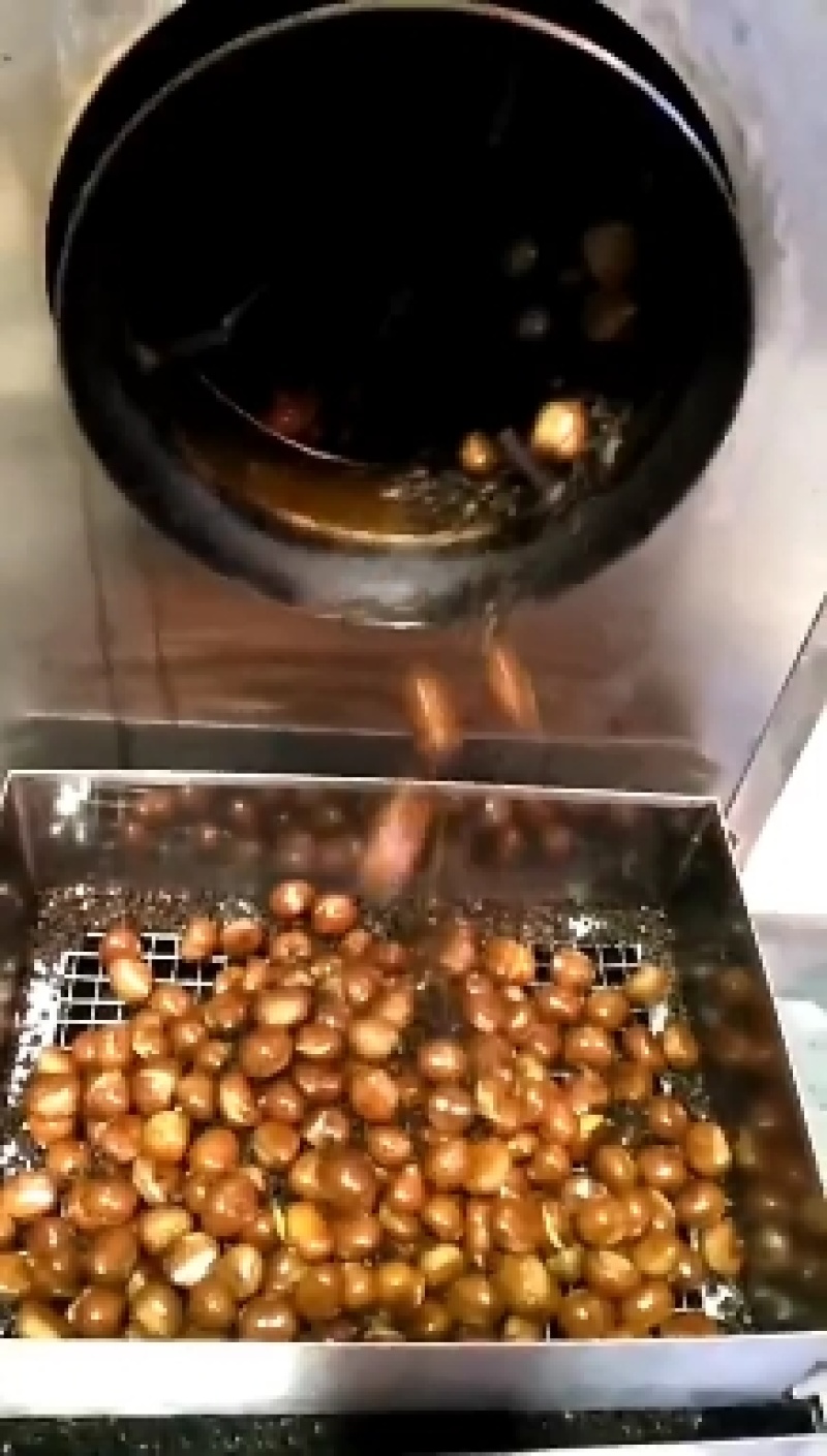 迁西板栗精品3113老树油栗一手货源
