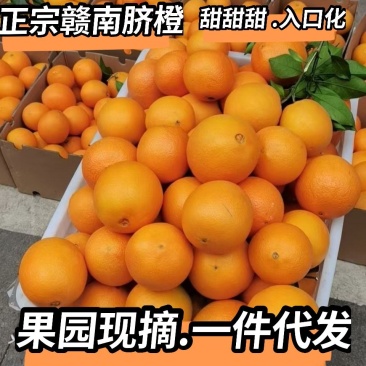 赣南脐橙支持微商网商一件代发社区团购果园现摘现发