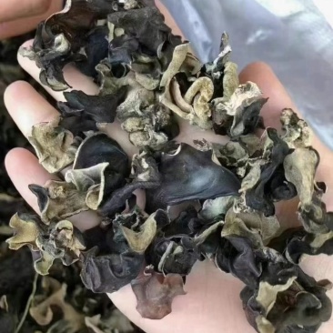 毛木耳，一件50斤有益元素含量高，发泡率高