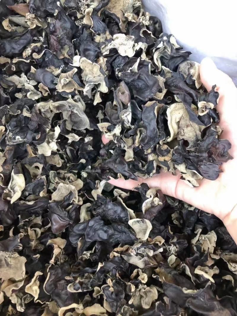 毛木耳，一件50斤有益元素含量高，发泡率高