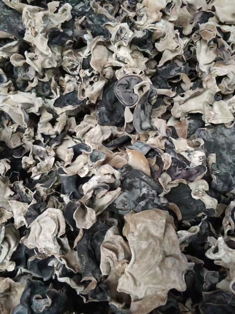 毛木耳，一件50斤有益元素含量高，发泡率高