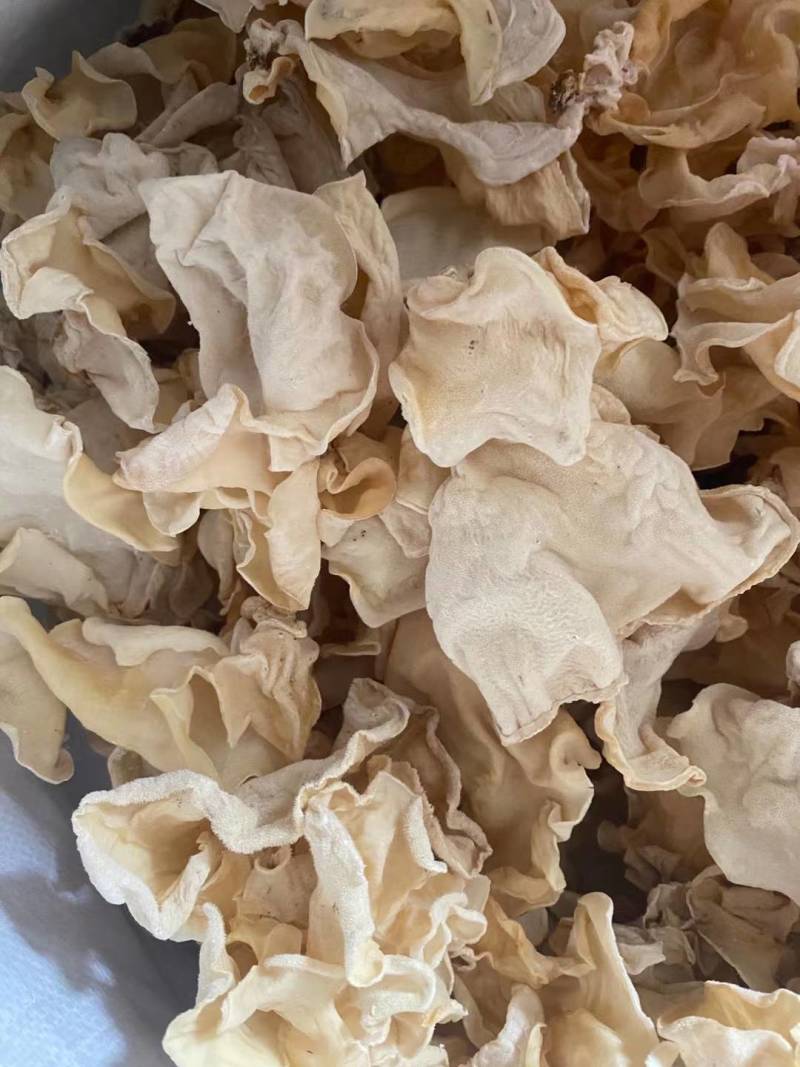 白木耳丝佛跳墙添加木耳丝口感脆嫩竹耳丝酒店特色食材全国发