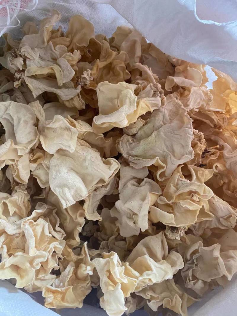 白木耳丝佛跳墙添加木耳丝口感脆嫩竹耳丝酒店特色食材全国发