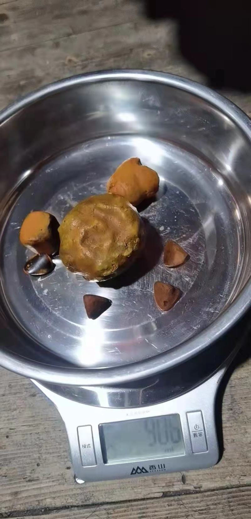 牛黄