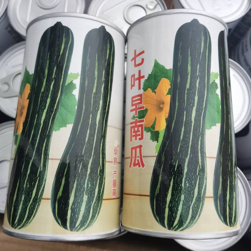 花皮七叶早长南瓜种子特早熟一叶一瓜老品种面甜基地专用