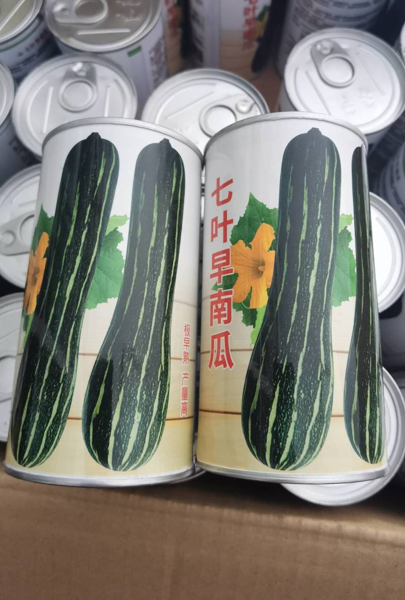 花皮七叶早长南瓜种子特早熟一叶一瓜老品种面甜基地专用