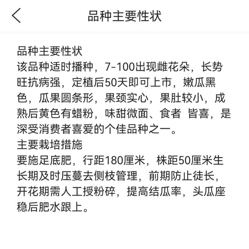 纯黑皮七叶早长南瓜种子特早熟黑长倭瓜面甜好吃南瓜种子