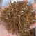 云南滇红茶2023新茶云南古树红茶特级大金针蜜香凤庆