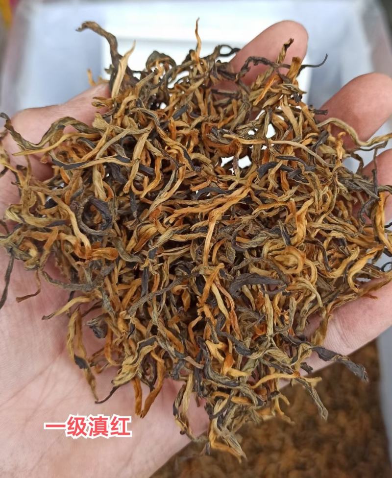 云南滇红茶2023新茶云南古树红茶特级大金针蜜香凤庆