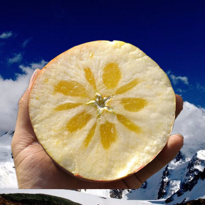 阿克苏冰糖心苹果原产地正宗特级果