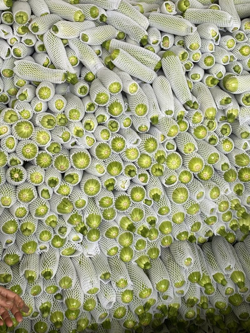 西葫芦