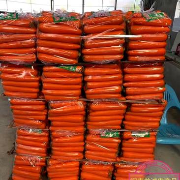 河南胡萝卜、三红胡萝卜、3两起步、水洗中条、小条、大头等