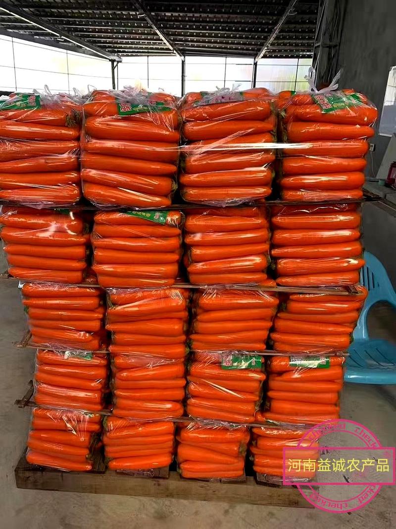 河南胡萝卜、三红胡萝卜、3两起步、水洗中条、小条、大头等