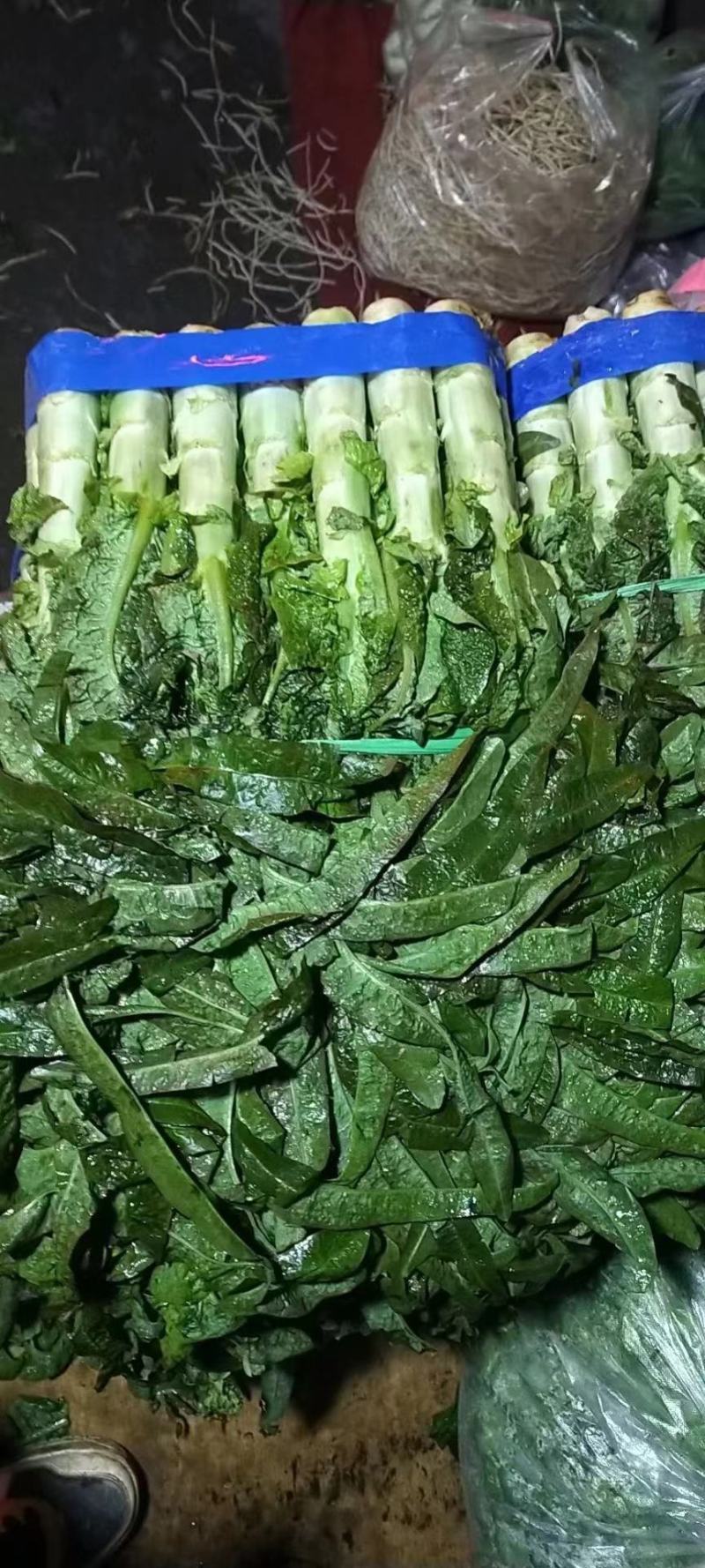 莴笋，产地看货，现釆现发，质量保证，欢迎咨询订购。