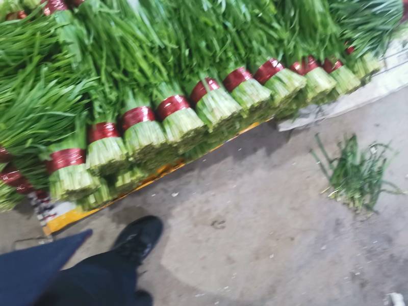 山东韭菜大量上市，产地直销，品质保证，可全国发货