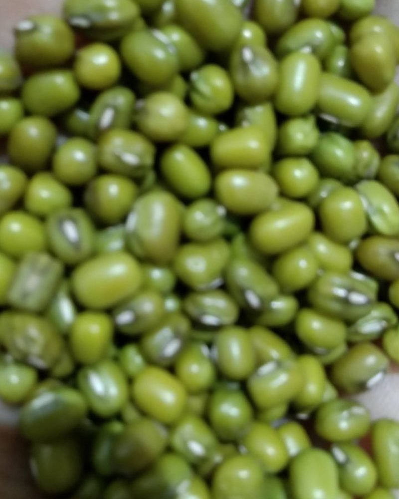 食泉坊东北绿豆