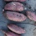 佳盈薯业济薯26黄心地瓜大量销售品种多价格底3两以上精品