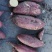 佳盈薯业济薯26黄心地瓜大量销售品种多价格底3两以上精品