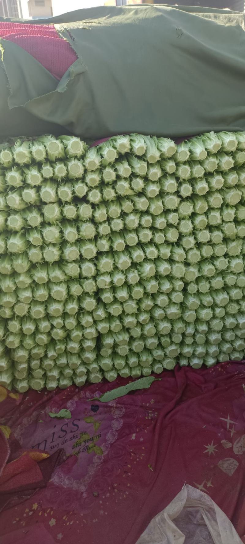 精品油麦，大量有货，产地直发，一手货源，长期合作