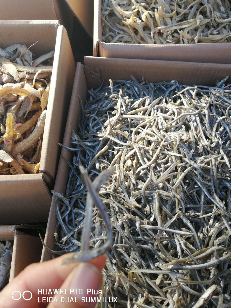 细条银针鱼，新货上市价格低廉欢迎新老客户惠顾