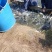湖南常德淡水鱼草鱼半斤到二斤半产地直发货量充足量大从优