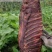 四川腊肉