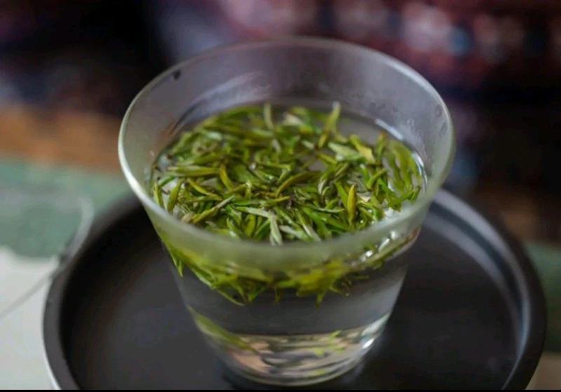 高端龙凤呈祥999一提一箱9提明前一级黄芽