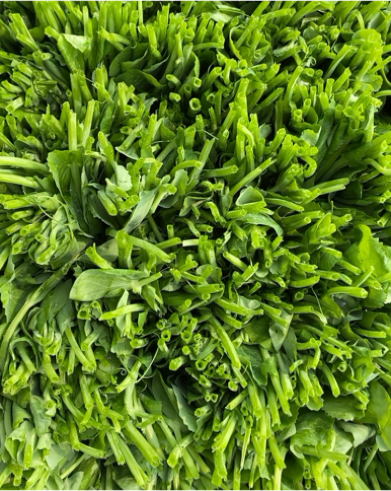 豌豆荚