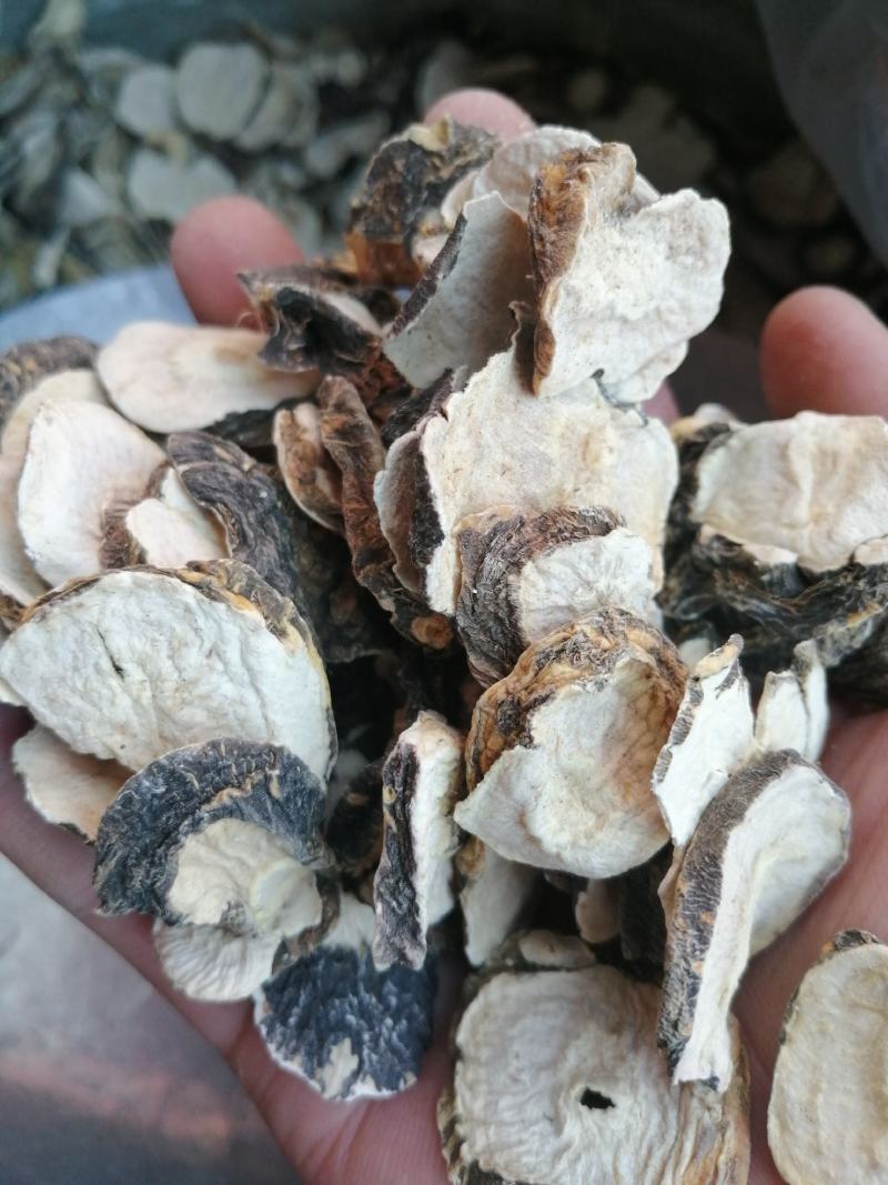 玛咖云南玛咖片泡酒泡水精选优质大片无硫***经营各种规格