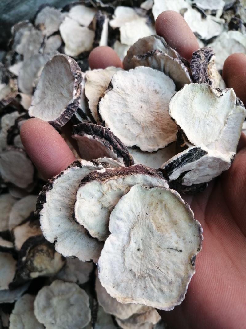 玛咖云南玛咖片泡酒泡水精选优质大片无硫***经营各种规格