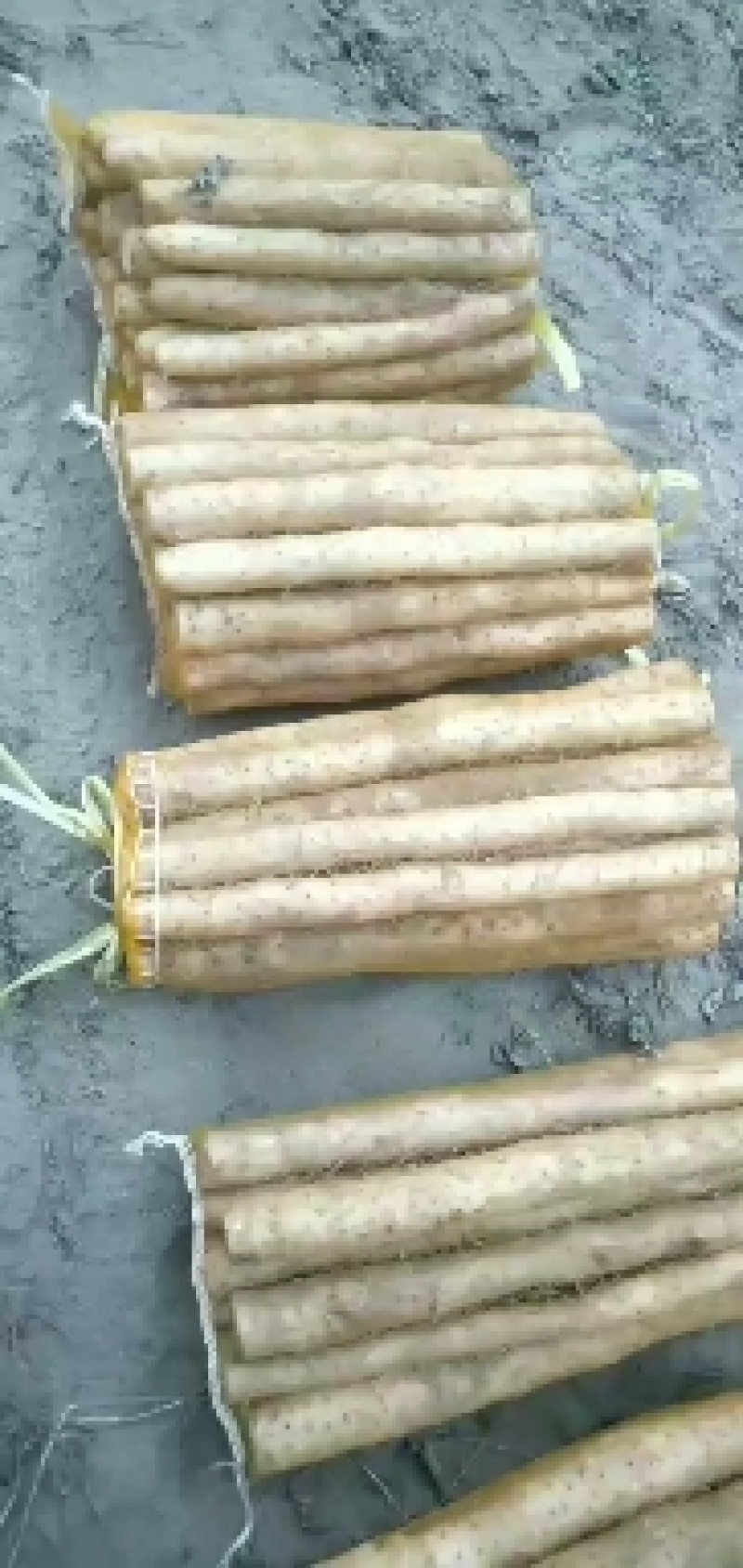 河北小白嘴白山药麻山药水洗货散货产地直供可供商超档口批发