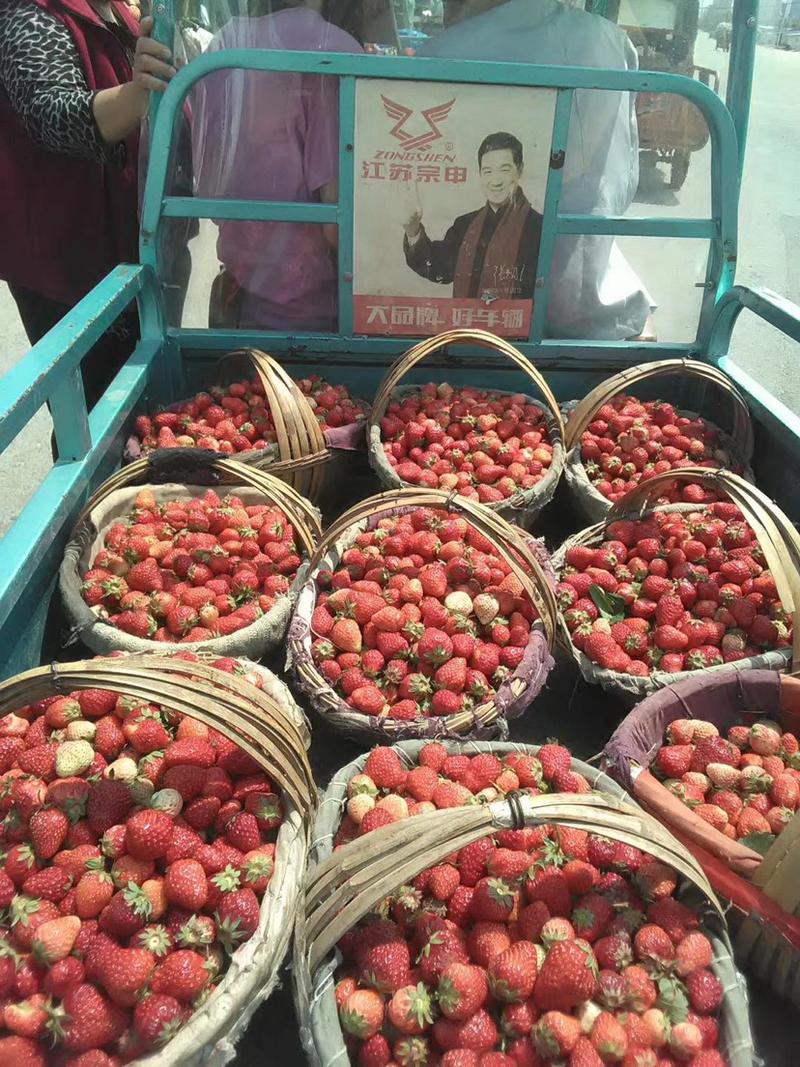 【实力商家】长丰红颜奶油草莓上市了需要老板联系，量多从优