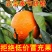 【奉节脐橙】产地直发甜度高皮薄多汁保质保量