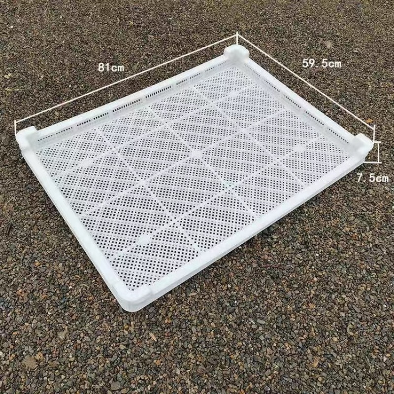塑料烘干盘冷冻盘塑胶托盘塑胶筐周转箱晾晒筛芒果干烤盘