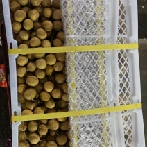 泰国散豆龙眼特级进口泰国龙眼火爆销量的泰国龙眼