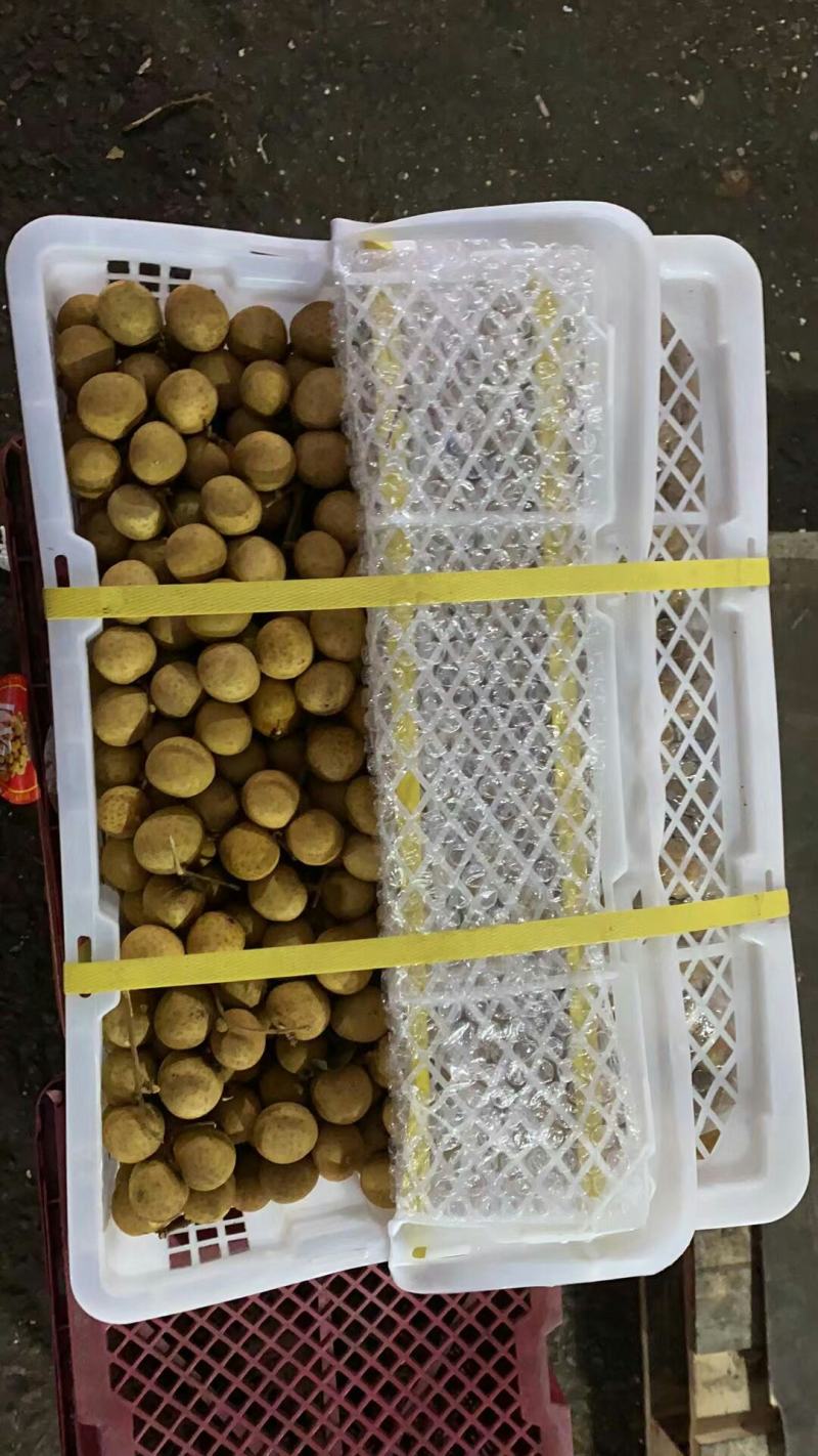 泰国散豆龙眼特级进口泰国龙眼火爆销量的泰国龙眼
