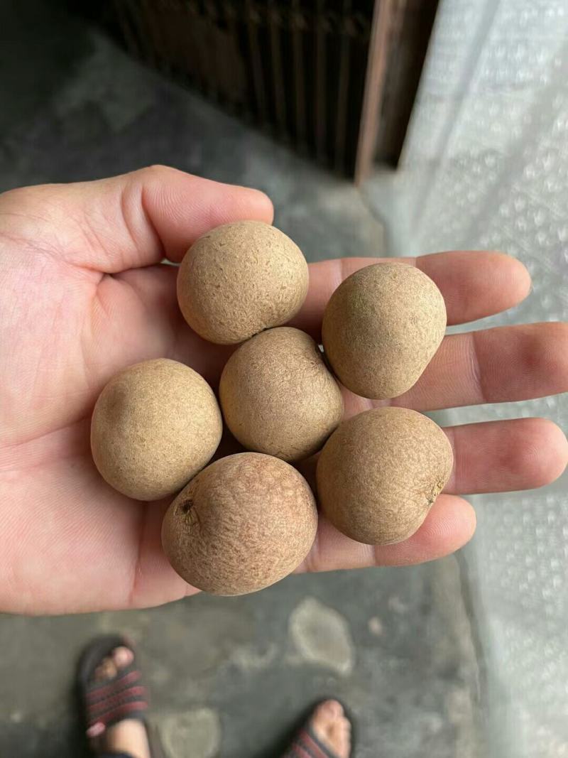 泰国散豆龙眼特级进口泰国龙眼火爆销量的泰国龙眼