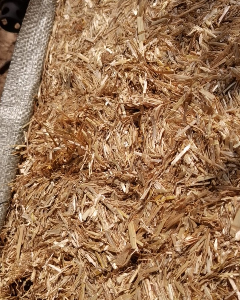 一级牛羊马驴草料！真干，无霉菌，无沙石