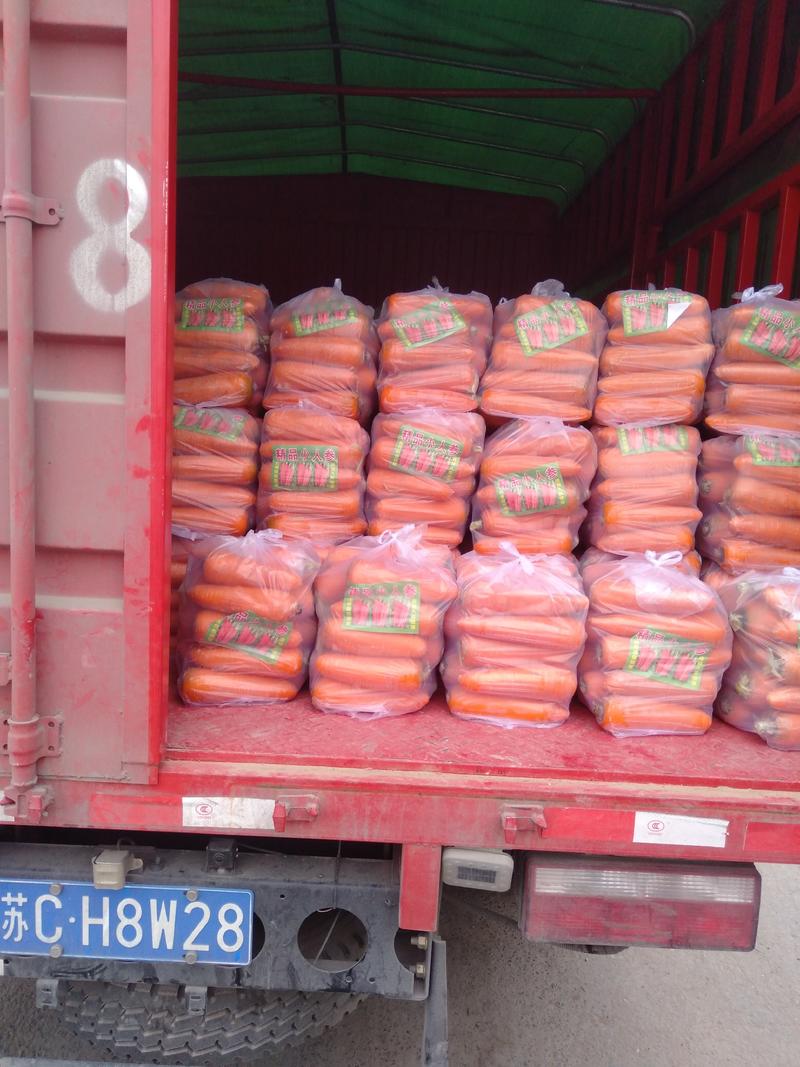 河南开封祥符区红萝卜大量上市，电商，土萝卜，市场批发水洗