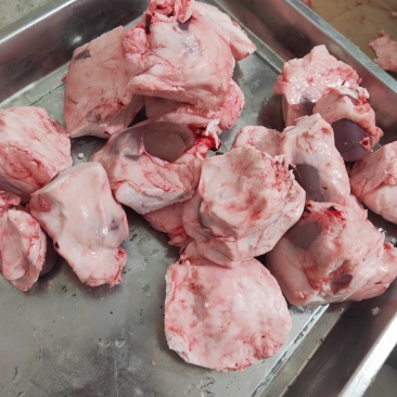 羊腰子精品鲜羊腰子