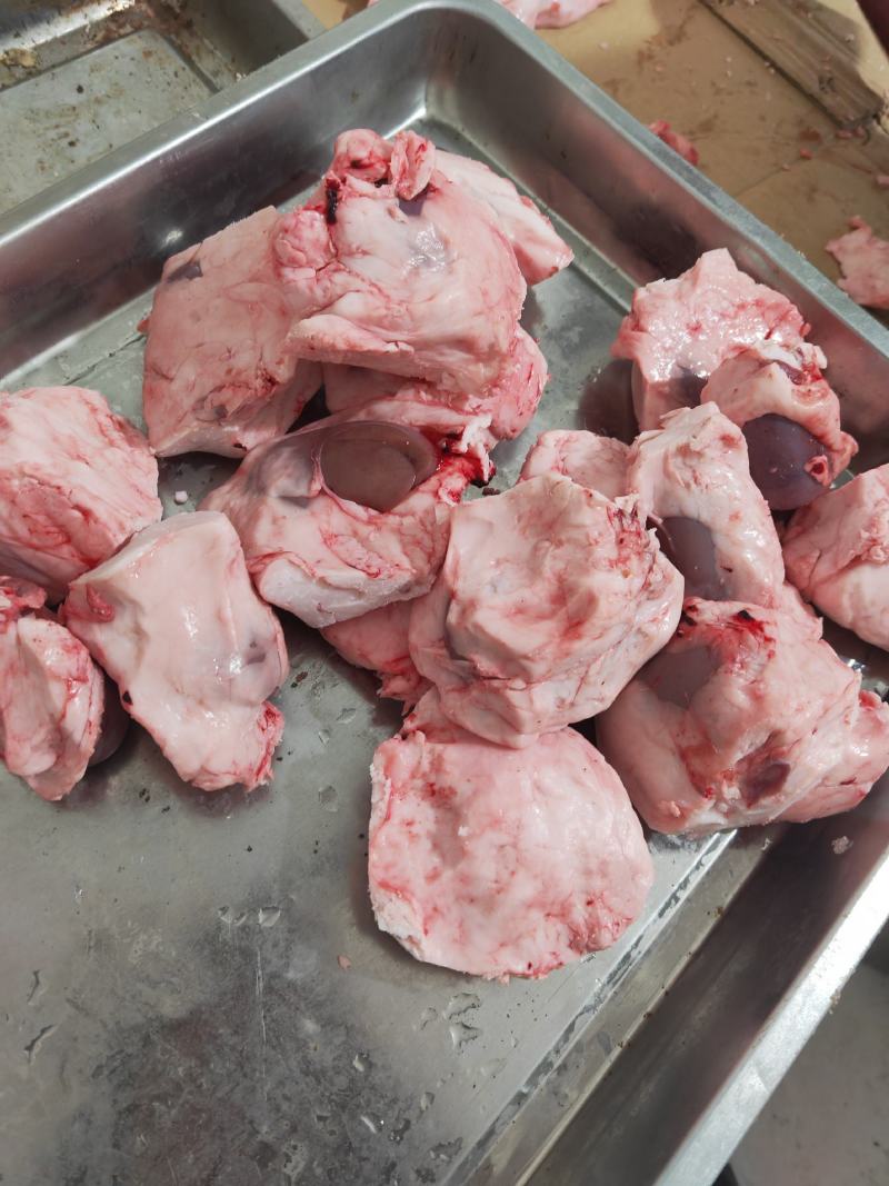 羊腰子精品鲜羊腰子