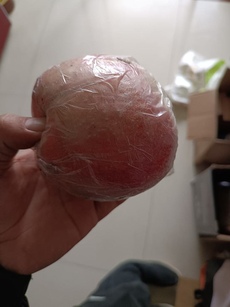 陕西省韩城市芝阳镇贺龙村小时种植的红富士苹果口感脆甜可口