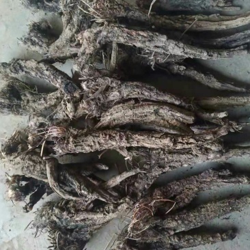 中药材
